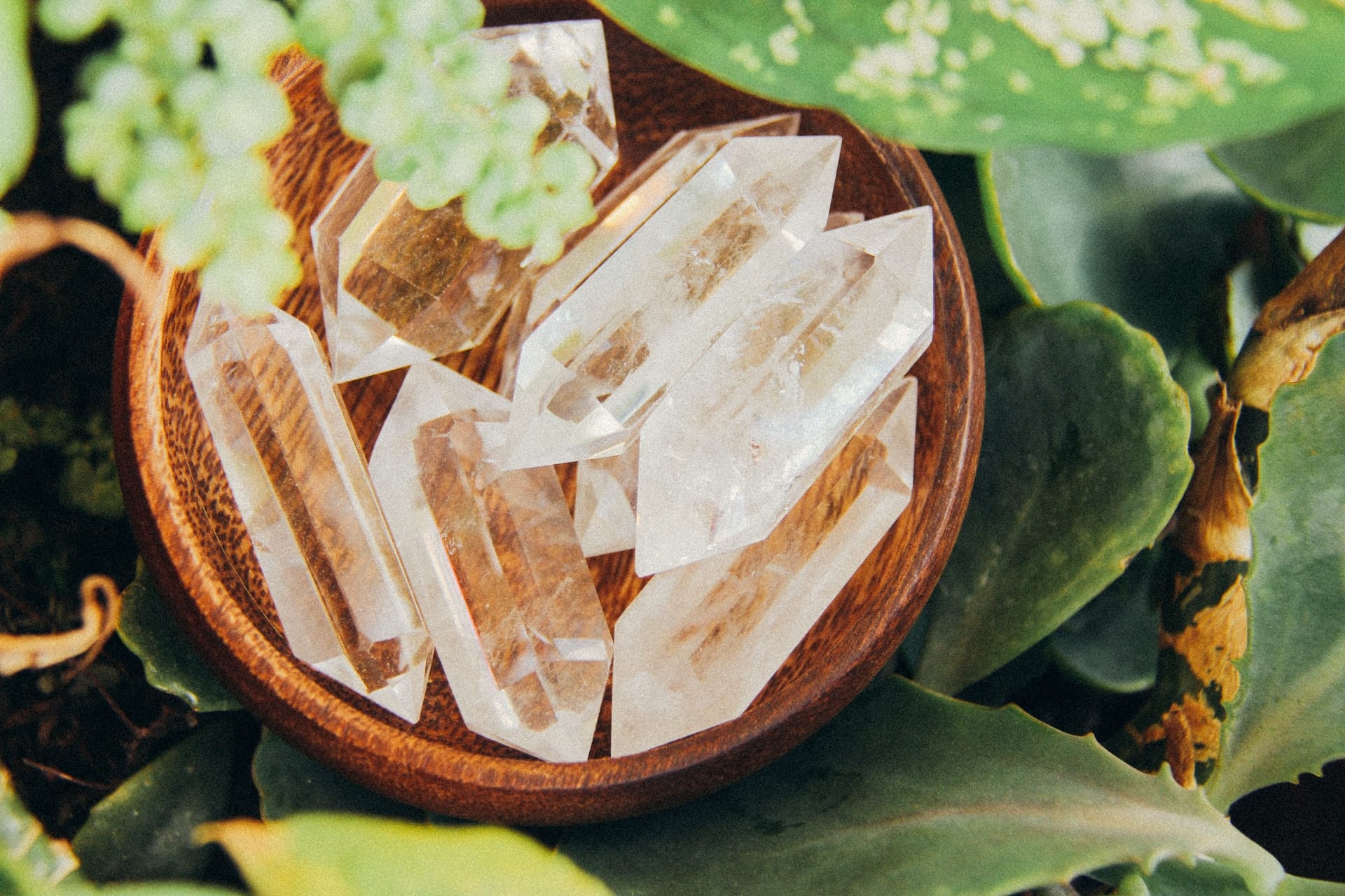 Remedy vedic astrology indonesia 4